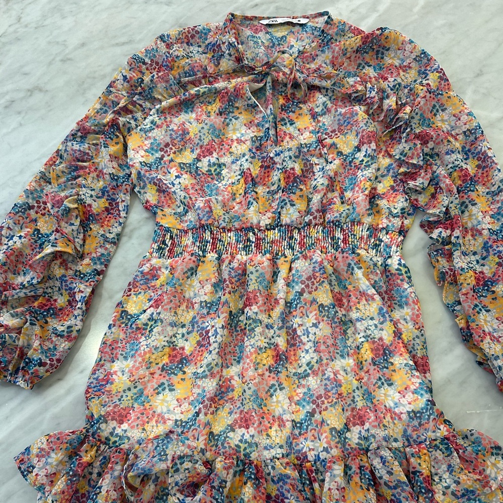 Zara S Ruffled Floral Print Long Sleeve Elastic Trim Lined Mini Dress Small